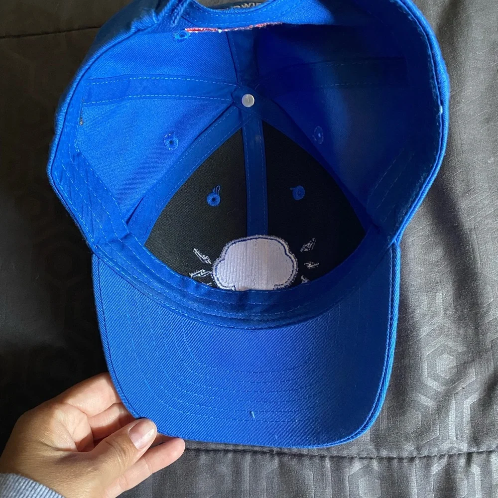 Disney California Web slingers spider man cap